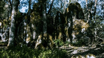 P1070366