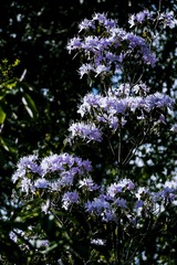 P1070381