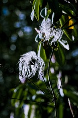 P1070382