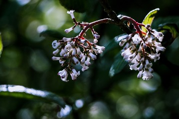 P1070383