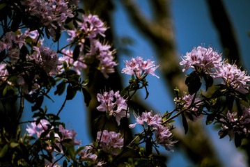P1070445