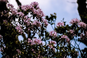 P1070448