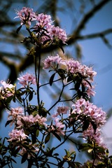 P1070449
