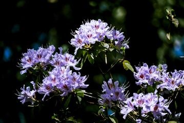 P1070451