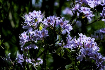 P1070455