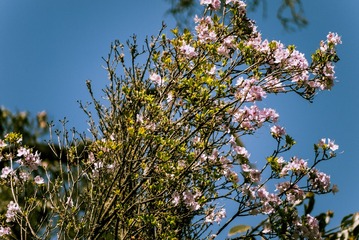 P1070459
