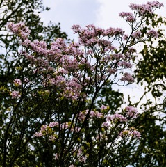 P1070465