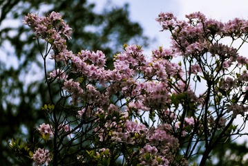 P1070466