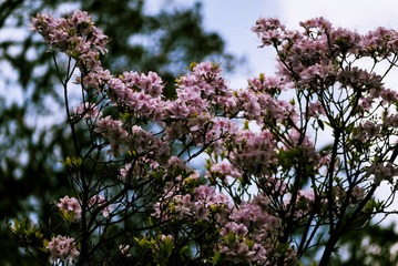 P1070467