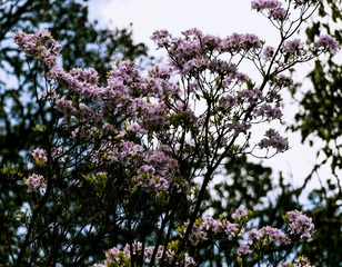 P1070468