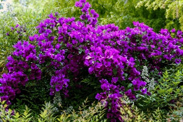 P1070505