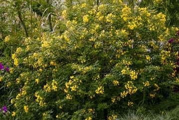 P1070508