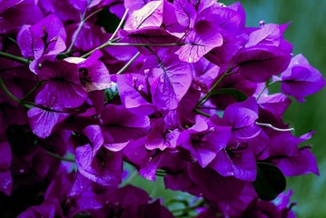 P1070515