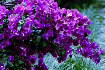 P1070516
