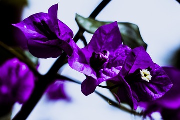P1070579