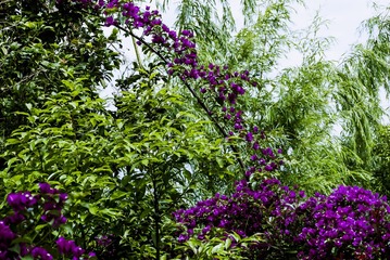 P1070621