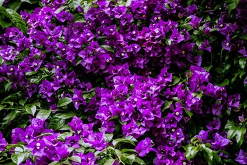 P1070807