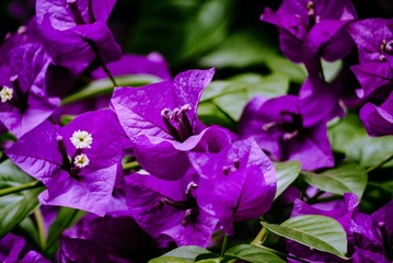 P1070808