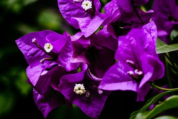 P1070809