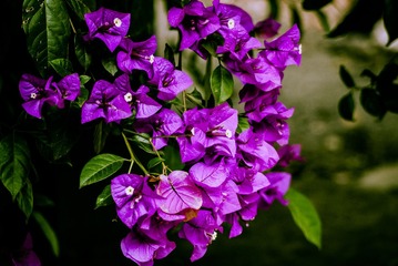 P1070812