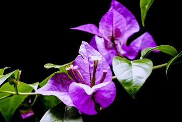 P1070815