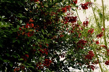 P1070528