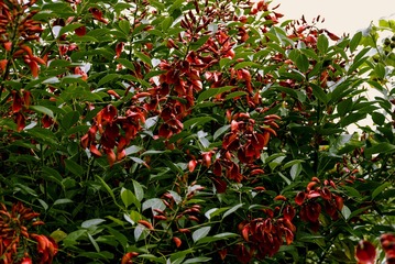 P1070535