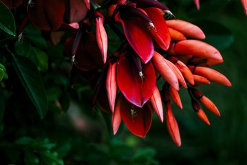 P1070694