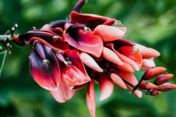 P1070695