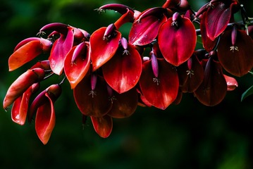 P1070698