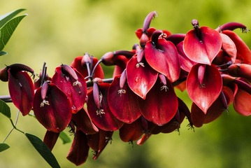 P1070700