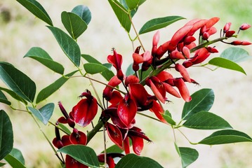 P1070701