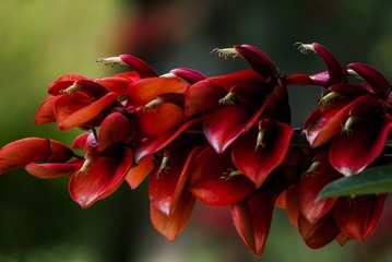P1070702