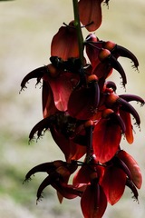 P1070704