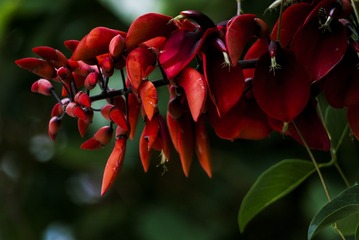 P1070712