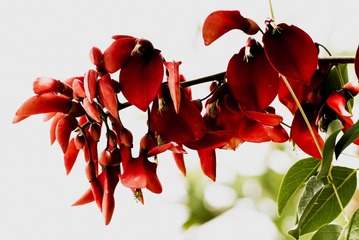 P1070713