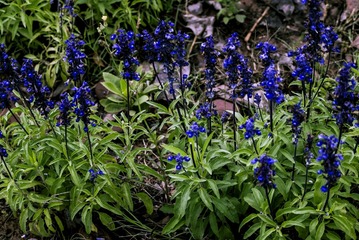 P1070477