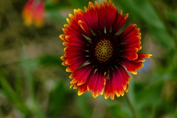 P1070481