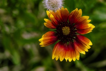 P1070482