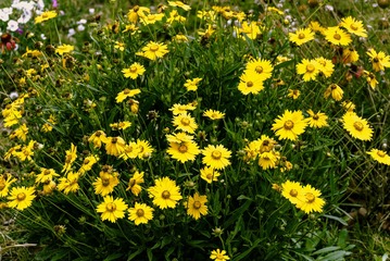 P1070491