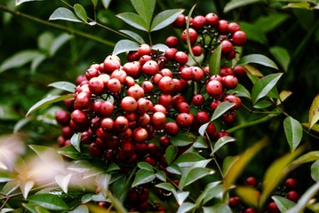P1070497