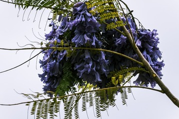 P1070472
