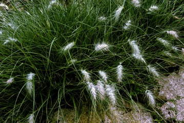 P1070499