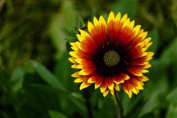 P1070501