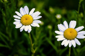P1070502