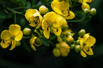 P1070514