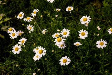 P1070519
