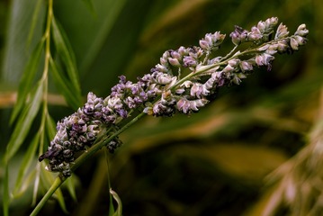 P1070522
