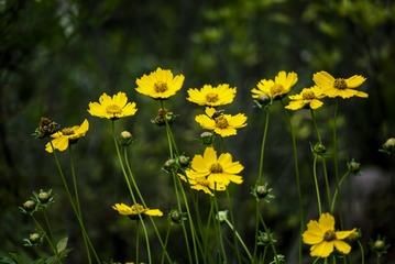 P1070696