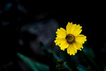 P1070717